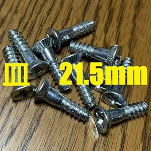 スキービンディング専用ネジ　5.5×21.5mm　ポジドライブ　10本〜追加可能 【auction by polvere_di_neve】PZ3 ロングビス ボルト リフター