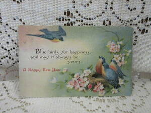 新年　アンティーク　ポストカード　絵葉書　小鳥　鳥の巣　お花　アメリカ切手1916年　パナマ万博消印