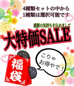 年末年始　福袋　大特価セール　お買い得　送料無料　ダンゴムシ　ワラジムシ　4種類入り　数量限定