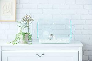 jeksHarmony glass is - moni -360 plus glass made clear cage hamster * small animals for W36.8×D22.2×H26.2cm