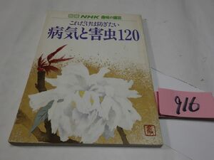 ９１６別冊ＮＨＫ趣味の園芸『病気と害虫１２０』