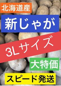 【数量限定】北海道 じゃがいも 新じゃが 男爵 サイズ3L 約9.5kg