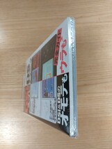 【D3343】送料無料 書籍 ニンテンドーDSi&DS スーパーテクニック ( DS 攻略本 B6 空と鈴 )_画像6