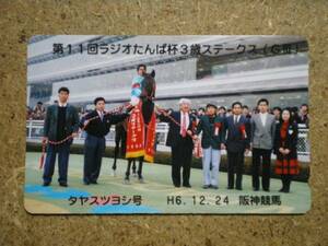 I1133B・阪神競馬　タヤスツヨシ　競馬　貼テレカ