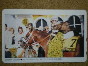 I1202A・ティンバーカントリー 競馬 テレカ