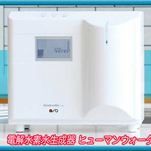 約26万円 連続式 電解水素水生成器 酸性水 ヒューマンウォーター HUMAN WATER HU-80 家庭用アルカリイオン整水器 可動品 美品 お買得の画像1