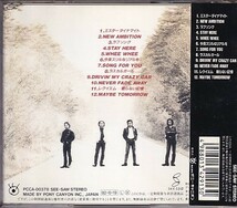 CD DOG FIGHT NEW AMBITION ドッグ・ファイト_画像2