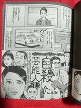 犯罪芸能タブーとスキャンダル vol.2 ～自殺か! 他殺か!! 飯島愛その死 真相～ 父親が凶悪犯の美人タレントたち・自殺した芸能人FILE・etc._画像8