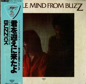 A00565917/LP/BUZZ「君を迎えに来たよ（１９７８年：SKA(L)-1024）」