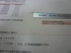 伊勢丹株主優待カード ご利用限度額９９万５千円（100万円枠カード）1枚　24年7/31まで◆送料無料