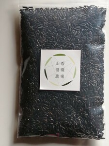 古代米　黒米　農薬・化学肥料不使用　200g 令和５年収穫　大分県産