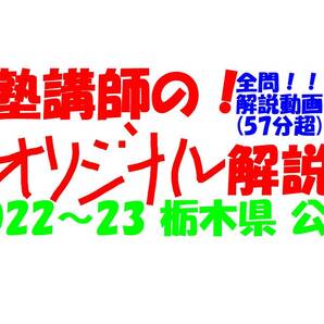 塾講師オリジナル 数学解説 全問解説動画付!! 栃木 公立高入試 2022-23 高校入試 過去問