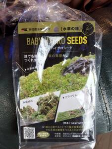 神畑　カミハタ ベビーハイグロシード　BABY HYGRO SEEDS 水草の種　水草の草原　