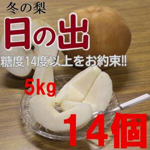 【送料込み】冬の梨”日の出”糖度14度以上5 kg14玉中玉 優糖生級 旬の果物産地直送 梨 南水 新高 にっこり梨 新興梨 秋月 王秋 b