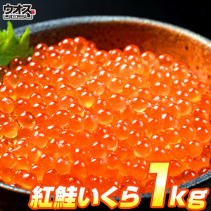 最安値挑戦！ いくら 醤油漬け 500g×2パック 計1kg 粒は小さいけど味は抜群！ 紅鮭 イクラ 贈答 いくら丼 お正月 お歳暮 年末年始