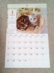 残りわずか！★すぐに発送します！★【送料が安い♪ 大きい! ねこ A3 壁掛けカレンダー 2024年 44x29㎝】猫 ネコ キャット こよみ 暦 