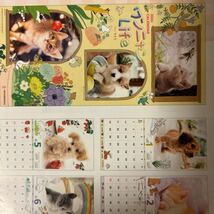 日本生命　ニッセイ　壁掛けカレンダー2024年　令和６年　ワンニャンライフ　ももろ　犬　猫　こいぬ　こねこ_画像3
