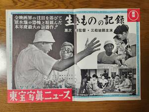 映画チラシ/ポスター　生きものの記録①　黒澤明　三船敏郎　☆検索　Akira Kurosawa　醉いどれ天使　野良犬　羅生門　生きる　七人の侍