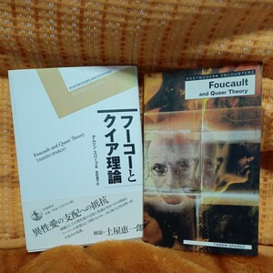 フーコーとクイア理論　タムシン・スパーゴ　土屋恵一郎　解説 岩波書店　と原書の2冊セット　foucault and queer theory 送料無料