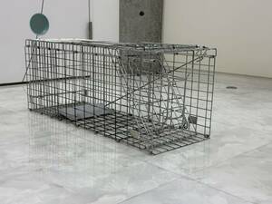 中古：小動物捕獲機　ヤフーショッピングで購入　害獣対策　捕獲