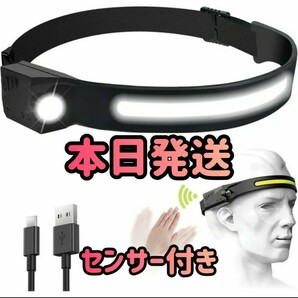 ヘッドライト ヘッドランプ ライト USB IPX4防水 350ルーメン高輝度 サイズ調節可能 軽量 LED 釣り登山 アウトドア 新品未使用の画像1