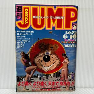 週刊 ヤングジャンプ 1982/6/10号 No.25★ばぁじんロード 新連載/毒舌桃平 強いか弱いか/わが友南十字星/男は天兵/漫画/コミック