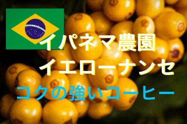 世界最大級のイパネマ農園コーヒー生豆400g焙煎してません！簡単なハンドピック済みです！コクが強く、ほろ苦さもあります！