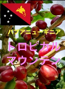パプアニューギニア トロピカルマウンテン1kgコーヒー生豆！焙煎しておりません簡単なハンドピック済みです！フルーティーなコーヒー