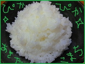 令和5年産【極上☆あきたこまち】玄米30Kg 専用化粧箱入 冷蔵庫保管（12℃で保存）1等米 残留農薬ゼロ【在庫限り】有機肥料 乳酸菌 減農薬 