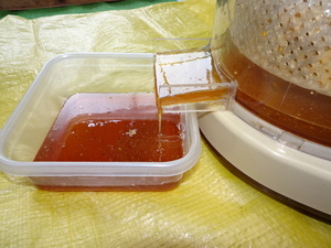 二ホンミツバチ 蜂蜜 電動 遠心分離器　簡単に搾る / 養蜂器具 蜂蜜抽出器 蜂蜜 日本蜜蜂 ハチミツ 分蜂 採蜜