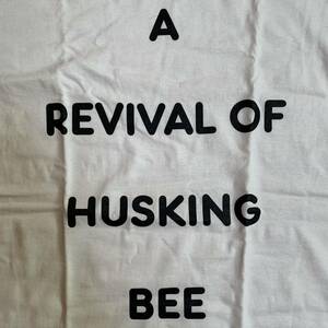 HUSKING BEE Mサイズ Tシャツ ハスキングビー AIR JAM Hi-STANDARD ハイスタ Ken Yokoyama BRAHMAN LOW IQ 01 BACK DROP BOMB SCAFULL KING