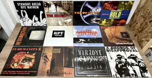 パンク ハードコア セット 17枚 LP15枚 10インチレコード2枚レコードまとめてセット 1222 PUNK HARDCORE Earth Crisis Warzone Ignite 他