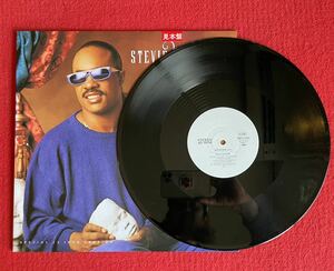 プロモ盤Stevie Wonder / Skeletons 12inch盤 その他にもプロモーション盤 レア盤 人気レコード 多数出品。