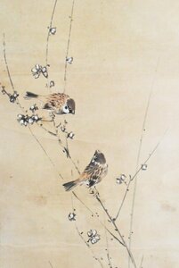 K2570 模写 素山「双雀」紙本 花鳥 すずめ 梅 日本画 中国 書画 骨董 掛け軸 掛軸 古美術 人が書いたもの