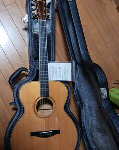 Eastman イーストマン　アコースティックギター　AC610