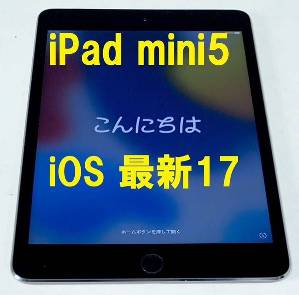 ◆ ios最新17! iPad MINI 5 64GB アップルIPAD MINI 第5世代 指紋認証OK！