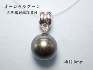 新品　パール　ペンダントトップ　PT900 ブラック系 12.0mm　D:0.025 黒蝶真珠 ラウンド形　真珠科学研究所鑑別鑑定書付き