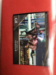 競馬ホースレーシングトレーディングカード中山記念パンサラッサ吉田豊カード新品未使用品