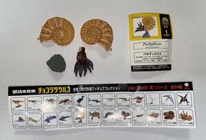 【単品】UHA味覚糖 チョコラザウルス DINOTALES 第1シリーズ「017 パキディスクス」海洋堂 恐竜・古代生物フィギュアコレクション