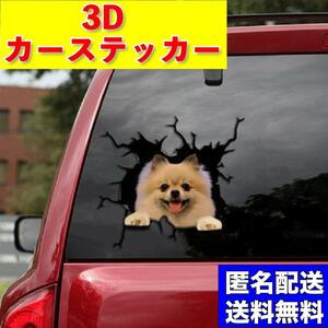 カーステッカー ポメラニアン トリックアート ステッカー シール 3D 車 カー用品 フレブル イヌ 犬 アクセサリー 窓 送料無料 匿名配送