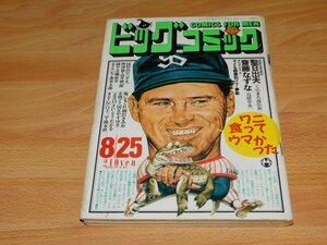 ビッグコミック　1989年8月25日号　ゴルゴ13　ホテル　カムイ外伝