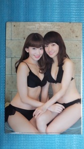 AKB48　小嶋陽菜＆大島優子 A5クリアファイル 週刊プレイボーイ 2014年5月19日号付録