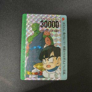 手に汗にぎる勝負 No.507 ピッコロ 悟飯 カードダス PPカード【KA244】