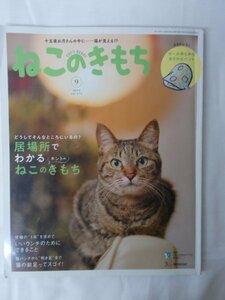 AR13911 ねこのきもち 2019.6 vol.172 ※傷みあり 居場所でわかるねこのきもち いいウンチのためにできること 最も上手なおやつの与え方