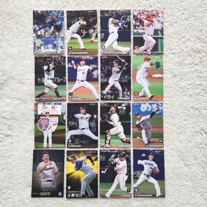 2023 カルビー 野球チップスカード 16枚セット