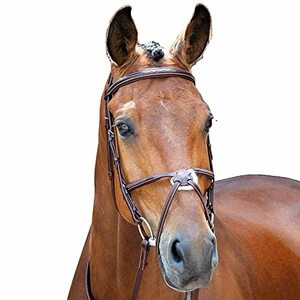 【中古】Shires Salisbury Brackley Pony/Horse Bridle - Australian Nut: Cob
