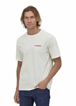 patagonia Tシャツ M's Summit Road Organic Tee サミット ロード オーガニック 38537 ホワイト　　 Sサイズ パタゴニア_画像3