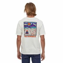 patagonia Tシャツ M's Summit Road Organic Tee サミット ロード オーガニック 38537 ホワイト　　 Sサイズ パタゴニア_画像2