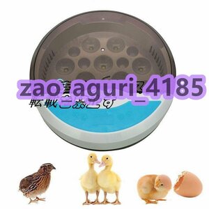 自動孵卵器 インキュベーター 入卵9個 自動転卵 鳥類専用孵卵器 検卵ライト内蔵 孵化器 鶏卵 アヒル 子供教育用 自動温度制御 z1868