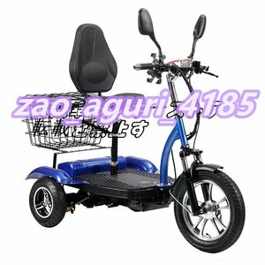  quality guarantee seniours oriented electric tricycle home use tricycle leisure travel shopping commuting for F1345